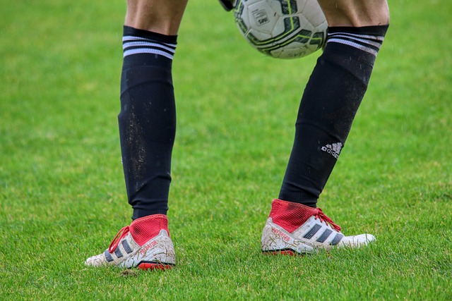 雷迪克谈保罗：不希望他赢得总冠军，否则湖人将没机会夺冠